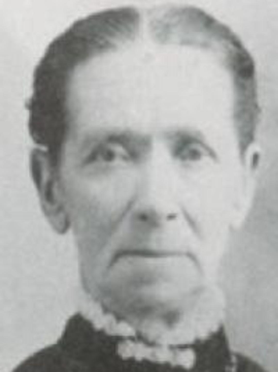 Annie Thompson Stewart (1839 - 1923) Profile